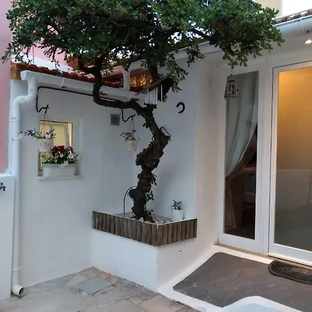 & Away Studio By Cris *